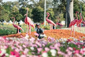 BIB: 
                            <button type="button" onclick="openModal(27344320)" class="btn btn-primary btn-sm float-right btn-popup" data-toggle="modal" data-target=".modal-high-quality">
                        <i class="fas fa-shopping-cart"></i> Add to Cart
                    </button>
                                            <button type="button" onclick="isThisMe(27344320, true)" class="btn btn-success btn-sm float-right btn-popup btn-isme hidden" data-toggle="tooltip" data-placement="bottom" title="นี่คือรูปของคุณใช่ไหม คลิกที่นี่เพื่อเอาเข้าอัลบั้ม">
                        <i class="fas fa-plus"></i> Add to album
                    </button>
                    <button type="button" onclick="isThisMe(27344320, false)" class="btn btn-warning btn-sm float-right btn-popup btn-isnotme hidden">
                        <i class="fas fa-ban"></i> Remove from album
                    </button>